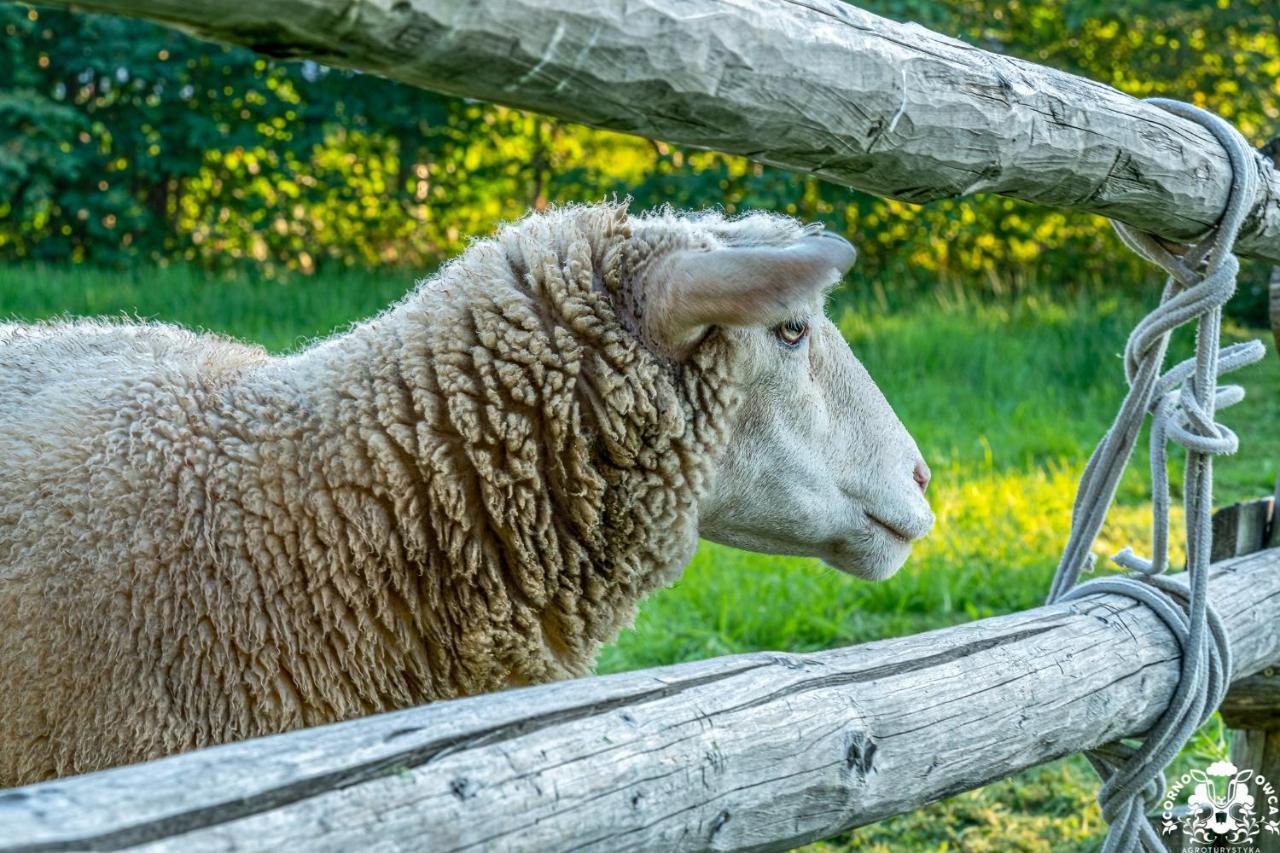 Agroturystyka Corno Owca Zabnica Dış mekan fotoğraf